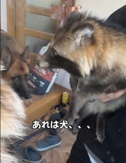 UԂČZ팢߂uǂvi摜@second.peace.0707j