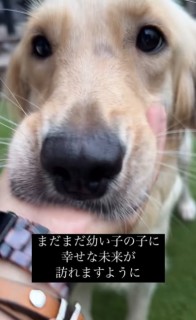 i摜@second.peace.0707j