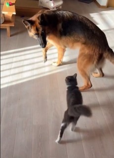 i摜@second.peace.0707j