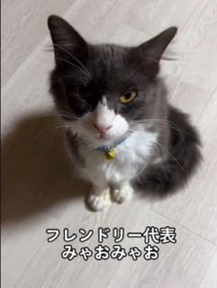 i摜@second.peace.0707j