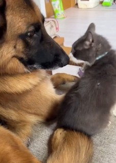 i摜@second.peace.0707j