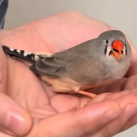 ������������̌��Łu�Y��!?�v�c�܂����́g������o�Y�h�Ɂu��قǈ��S�ł���ꏊ�Ȃ񂾂ˁv�u�Y�񂾌�̊炪�����v