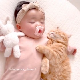 猫に腕枕する0歳児、2年後の姿に大反響「これは尊い…」「まるでジブリの世界」