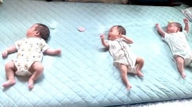 3�q�̐Ԃ����̑�^����A�~���N�҂��p��218����Đ��u�����ƌ��Ă��Ď��ԗn�����Ⴄ�v�u����3�{�A��ς�3�{���[�v