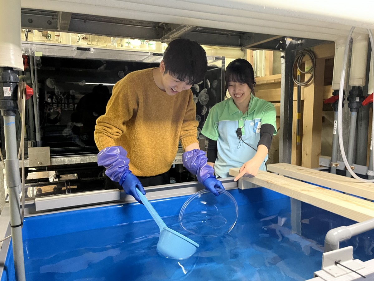 �X�y�V�����p�b�N���܂̃����_���h�N���Q����X�^�b�t�̌��h