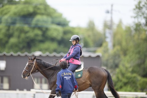 �w�����ƃE�}���D���ɂȂ��n�̌����܁x�@2,026�~�i�ō��j