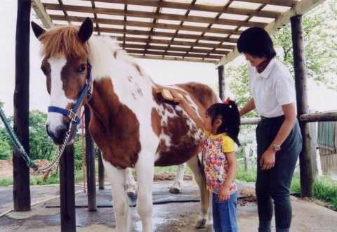 �w�n�̂����b�̌����q��O�������i���܁x�@2,026�~�i�ō��j