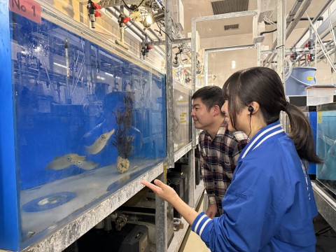 �yNEW�z�����كt�@���Ɏh����I�}�j�A�b�N�K�C�h�c�A�[