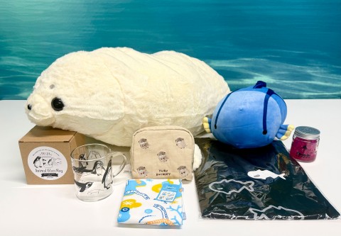 �����كI���W�i���ʂ�����݂������Ă���g�ݍ��킹��