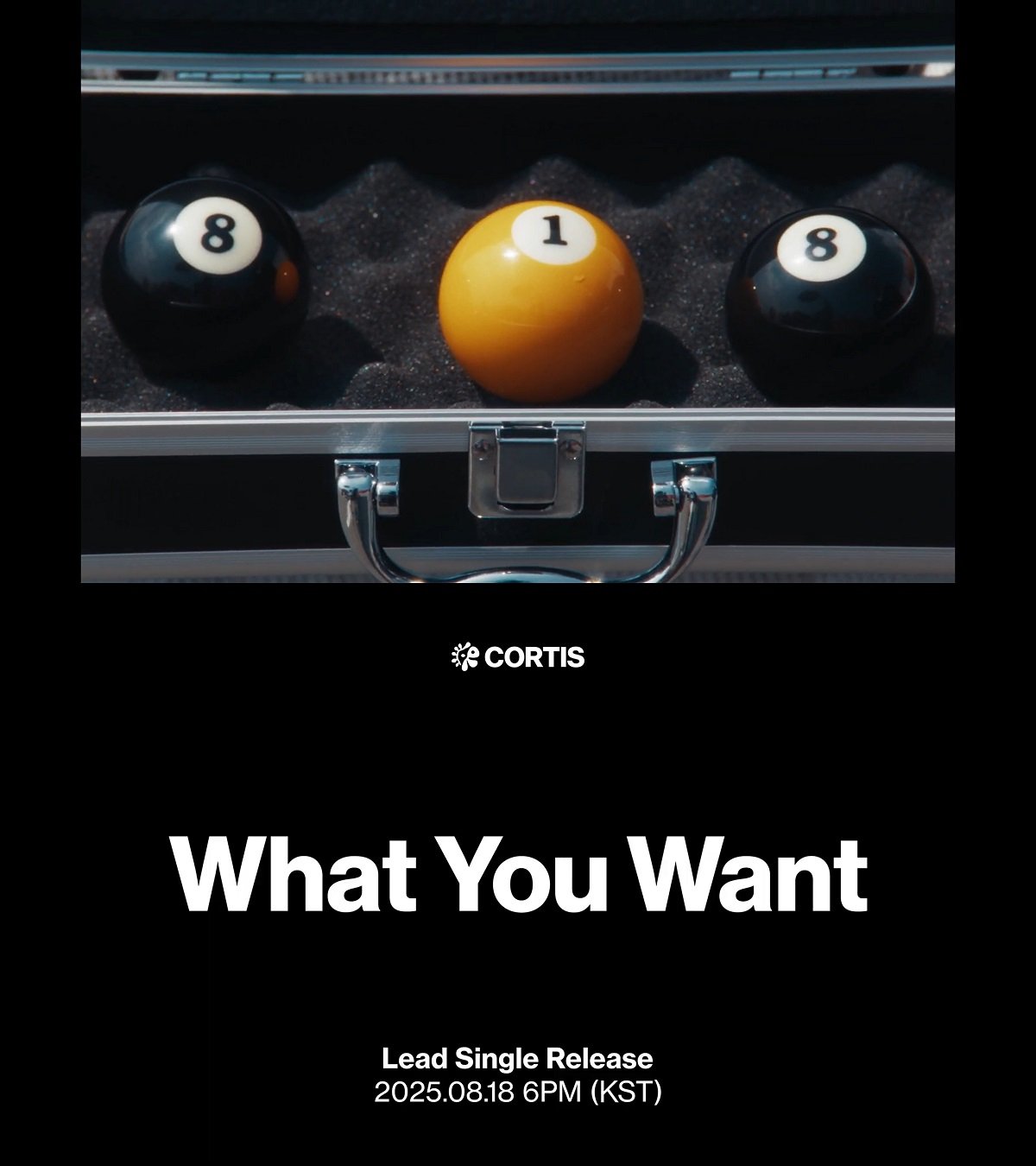 fr[Ao[COLOR OUTSIDE THE LINES]̃^CgȁuWhat You Wantv