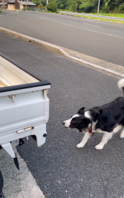 �y�g���ɍ����W�����v�I�c�ɕ�炵�𖞋i����{�[�_�[�R���[BiS����ɒ��ځu�]�T�Ŕ�щz����̃X�S�����c�v