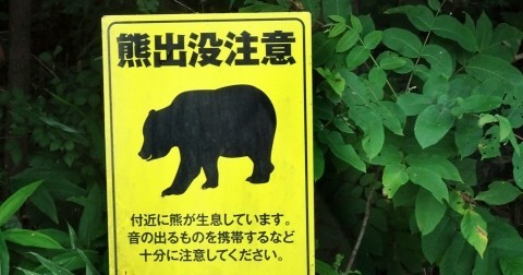 売れたらクマが喜ぶ出品 しなクマ - Search / X