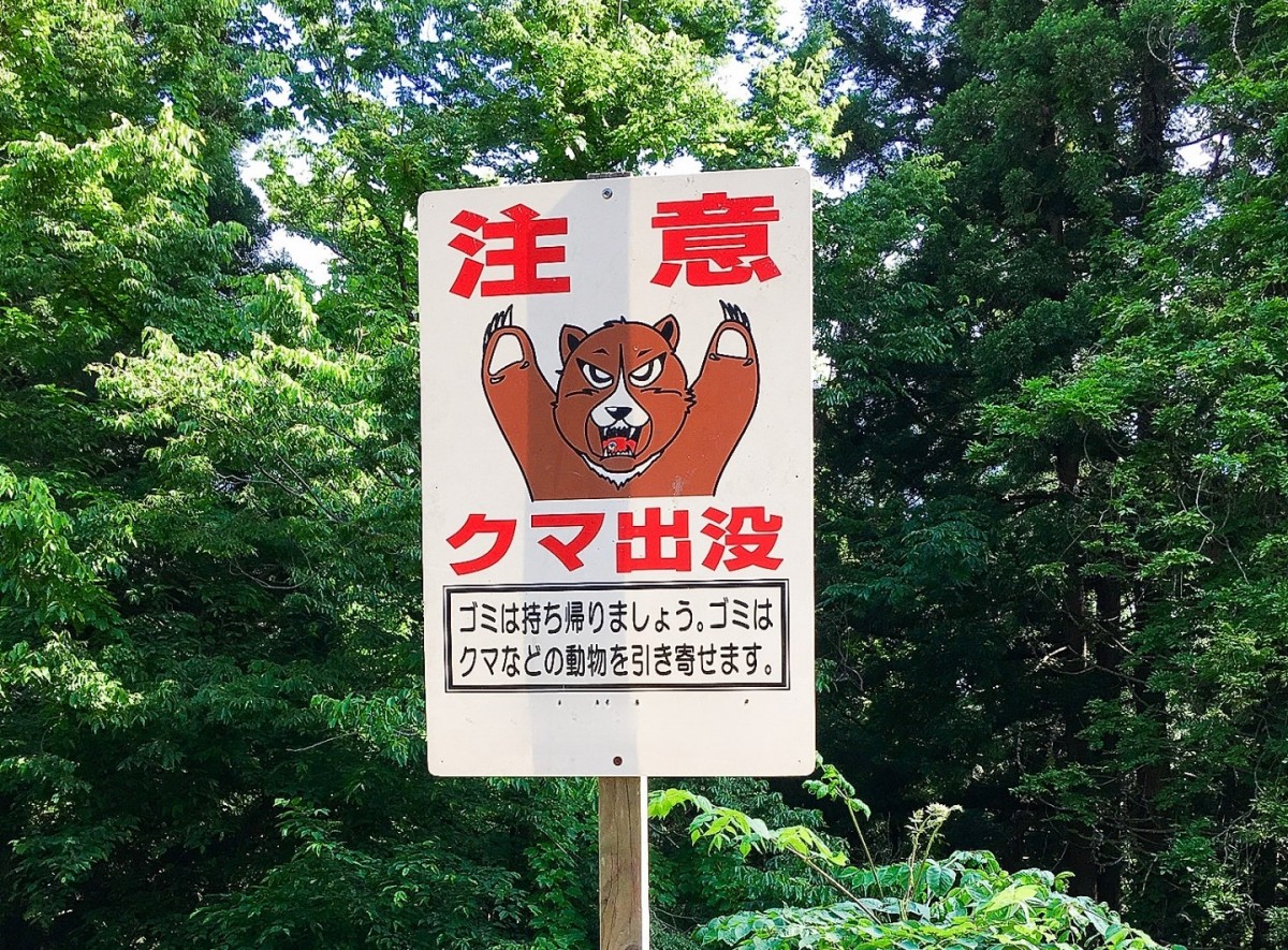 熊に遭遇したらどうする？」クマ鈴やスプレーで備える、身を守る