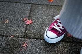 �u�H�F������v�u���킹�₷�����Q�v�u���E���E�x�[�W���E�J�[�L�E�{���h�[�̂������߃X�j�[�J�[���o�b�O