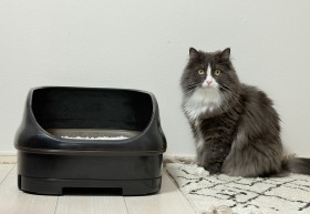 �u�y���E�ł܂�E�U��΂�ɂ����I�v���L�͂��m���ȁg���̔L���h���g������g�C�������K�ɂȂ����I