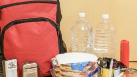 �ƒ�̔��~�ɍ����n�[�h���A���������߂�h�[���q���N�v�l�h���s���̖W���Ɂc���i�̓��p�i���ЊQ���ɖ𗧂h���~�h�ɂ���e�N�j�b�N