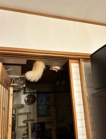 逆さまに覗くエマちゃんの“ホラー”ショットが話題「うぉっっふぅ〜い」