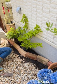 ܂͊bOiʐ^@miekinocoj