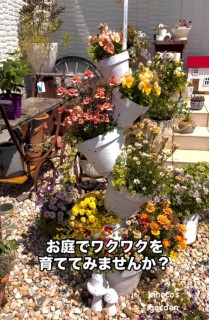 Ԃ̃^[Iiʐ^@miekinocoj