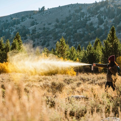 クマ撃退スプレーの問い合わせ激増、メーカーが警鐘を鳴らす対策アイテムの正しい使い方