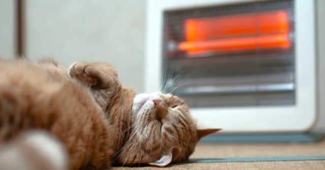 つけた瞬間ホッとする」「乾燥しにくいのがいい」タイプ別に選ぶ