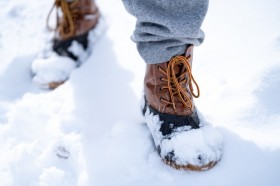 �u����1���Ő��E���ς��v�����Ă��G��Ă����C�c�g�����������K�h�Ȗh���~�h���X�j�[�J�[