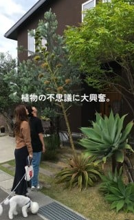 iʐ^@botanical.0715j