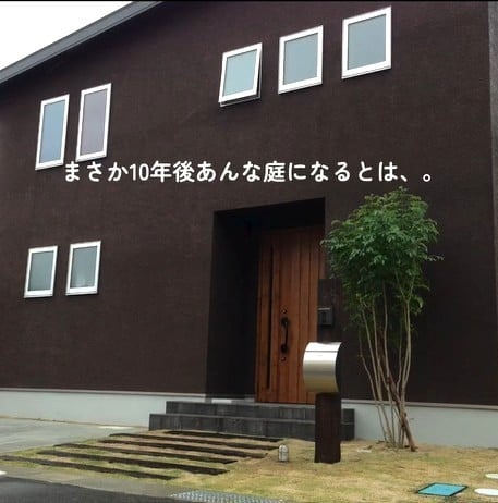 何もない庭に1本の木を植えて10年後…家主も驚く変貌ぶりに「お見事！」