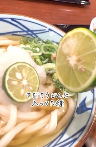 丸亀製麺“すだち”の種を育ててみたら…家庭菜園好き主婦の挑戦に「種愛ハンパない！」