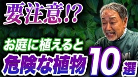 「庭に植えると危険…」「度を越えている」プロが指摘する“要注意植物”10選に「知れて良かった!」