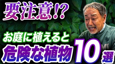 「庭に植えると危険…」「度を越えている」プロが指摘する“要注意植物”10選に「知れて良かった！」