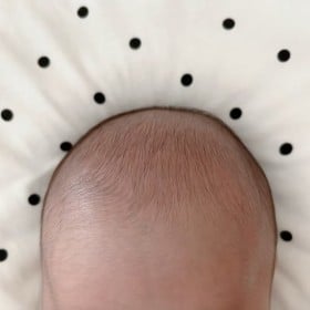 Ԃ񔖖ъEGUctTtTɂȂ邩Ă܂1NԂ̔ыL^uᕟIvuʂԂ̍肵v