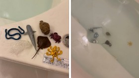 �q�ǂ����������C��Ɏc���Ă������A�����̒u���y�Y�c�u�E���グ���������Ⴊ�S�Ċ댯�����������̂Ŏv�킸�΂��܂����v