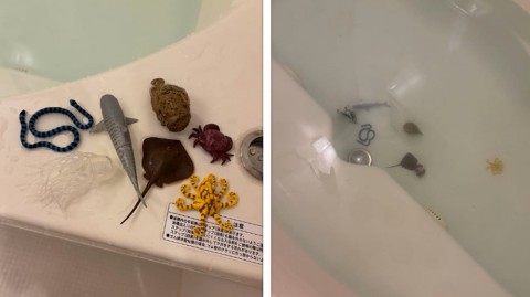 子どもたちが風呂場に残していった、驚きの置き土産…「拾い上げたおもちゃが全て危険生物だったので思わず笑いました」
