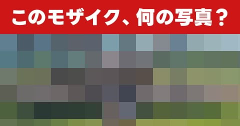 �y�]�g���ʐ^�N�C�Y�z���U�C�N�z���ɋP���I�~�́u�`���̐������v�̐��̂����j��邩�H