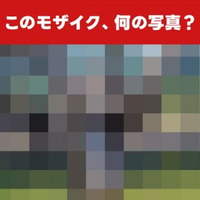 �y�]�g���ʐ^�N�C�Y�z���U�C�N�z���ɋP��!�~�́u�`���̐������v�̐��̂����j��邩?