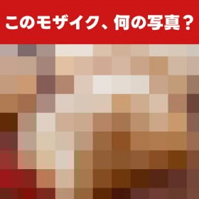 �y�]�g���ʐ^�N�C�Y�z���U�C�N�z���ɓ��C��!�~�́u�������H���O�����v�̐��̂����j��邩?