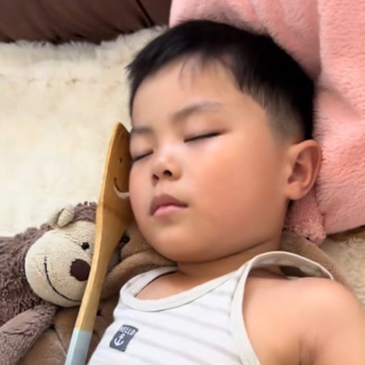 �悭����Ɩ؂ׂ�ɂ͂��炪�t���Ă���c�I