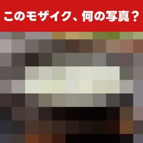 �y�]�g���ʐ^�N�C�Y�z���U�C�N�z���ɓ��C���I�~�́u�z�b�Ƃ��錒�N�t�[�h�v�̐��̂����j��邩�H