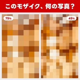 �y�]�g���ʐ^�N�C�Y�z���Ȃ��̒�Ԃ͉�?�S���̂����܂�A�~�́u�����I�����v�̐��̂����j��邩?