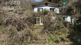 10年放置された土地を1ヵ月草刈りした結果…脱サラ男性の奮闘に「もう、開拓精神ｗ」