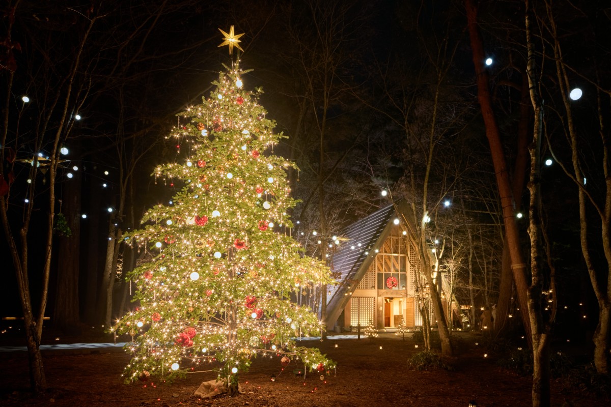 軽井沢高原教会 星降る森のクリスマス』満天の星とツリーの特別な夜…冬