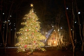 wy򍂌 ~X̃NX}XxV̐ƃc[̓ʂȖc~̑lCCxgǂKCh