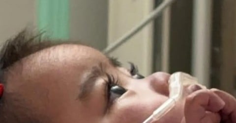 ���肭�肨�ږڂɁg�V�R�܂G�N�h�@�v�킸�������Ă��܂��Ԃ����Ɂu����ȉ����ڗ͂̎����傢��̂��v�u�������Ⴂ�M�����v