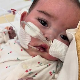 �u�����Ă��Ă���ėǂ������v�D�P20�T�ō�����ꂽ�����Əp��́g��_�f�]�ǁh�@324���Ԃ̓��@���o���Ԃ�����1�N