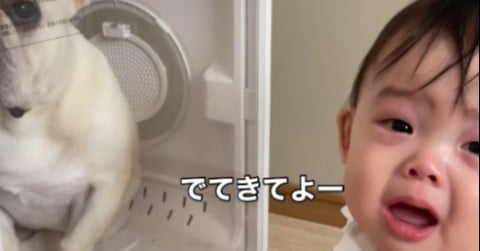 �u�����o�Ă���Ȃ��c�H�v����������