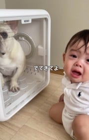 �u�����o�Ă���Ȃ��c�H�v����������