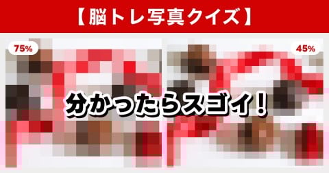 �y�]�g���ʐ^�N�C�Y�z�o�����^�C�����O�I����Łg�K���C���h�ɁB���E��������u�����ȕ󕨁v�̐��̂́H