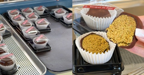 �w2026�ŐV�Łx���n�Œ����I�؍��ŗ��s���̃h�o�C�`���R�N�b�L�[��������5�I�y�n���O�NTIMES Vol.240�z