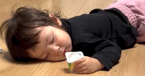 ��D���ȐH�ו�����Ɂc�L�b�`���ŐQ��������1�΃n�[�t�����̎p��120����Đ��u�d�r�؂��v�u���������ł��ˁv